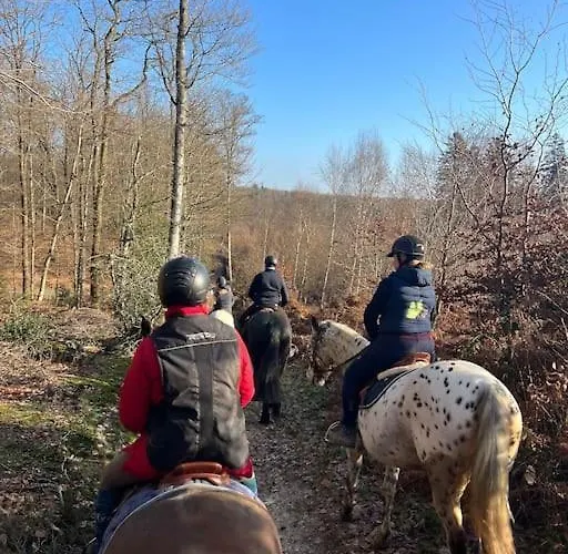 Relaxing Bain Nordique *